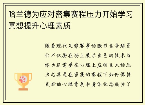 哈兰德为应对密集赛程压力开始学习冥想提升心理素质